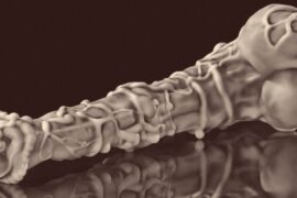 Featured image for an article on horse dildos