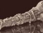 Featured image for an article on horse dildos